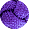 Best of Switzerland, Klappmesser KISS mit Paracord